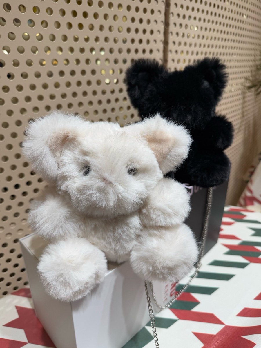 心が癒されるのは快適です