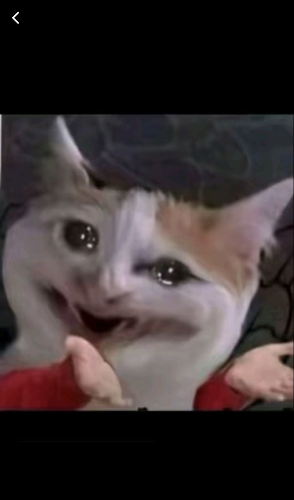 Who did I offend 😭💔. God abeg o, Abi someone swear for me?