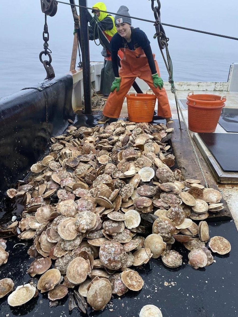NE Fishermen's Stewardship Assoc. tweet media