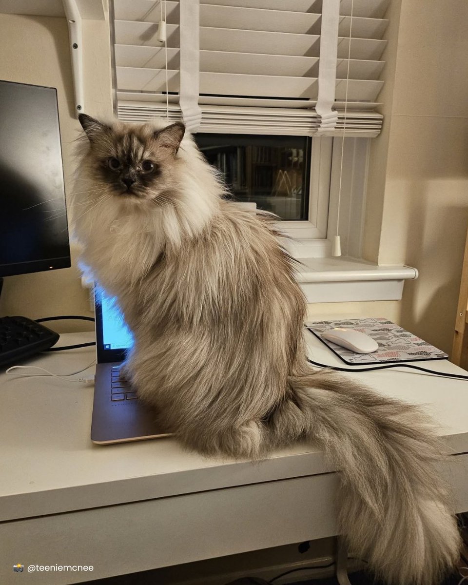 The Open University tweet media