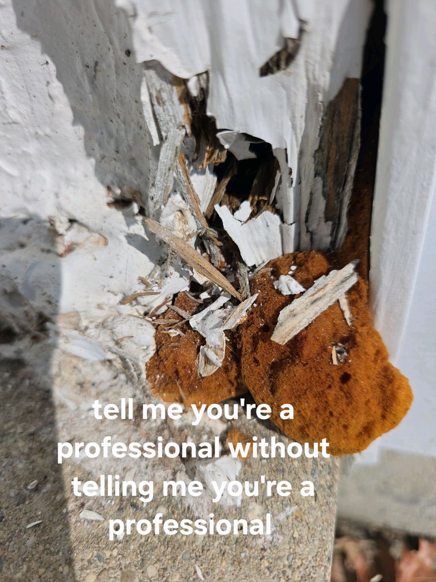 You get what you pay for