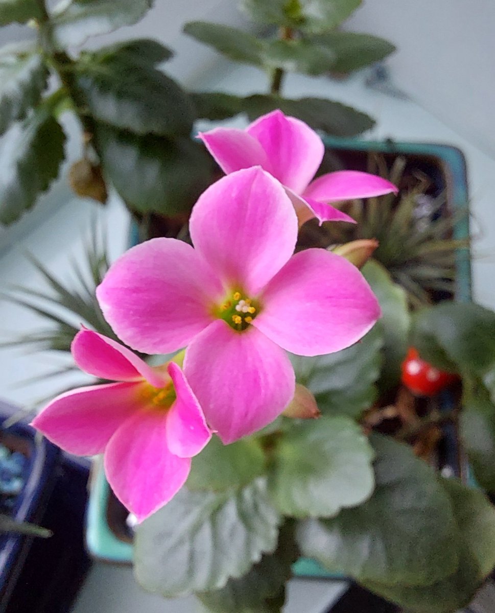 Phill Denson tweet media