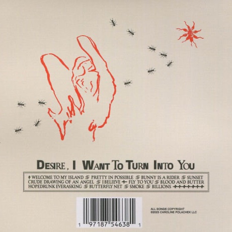 PopBase's tweet image. 3 years ago today, Caroline Polachek released ‘Desire, I Want To Turn Into You.’