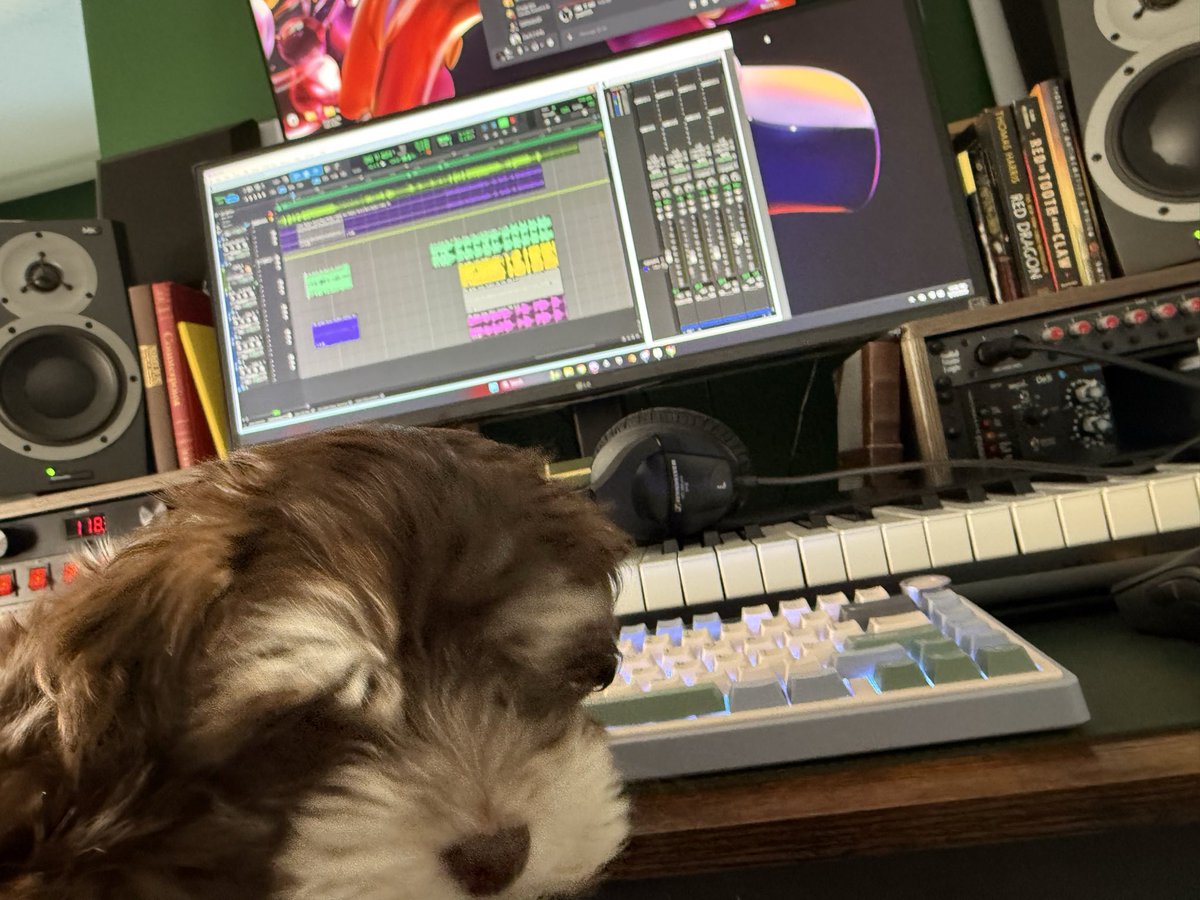 Scary Good Studio tweet media