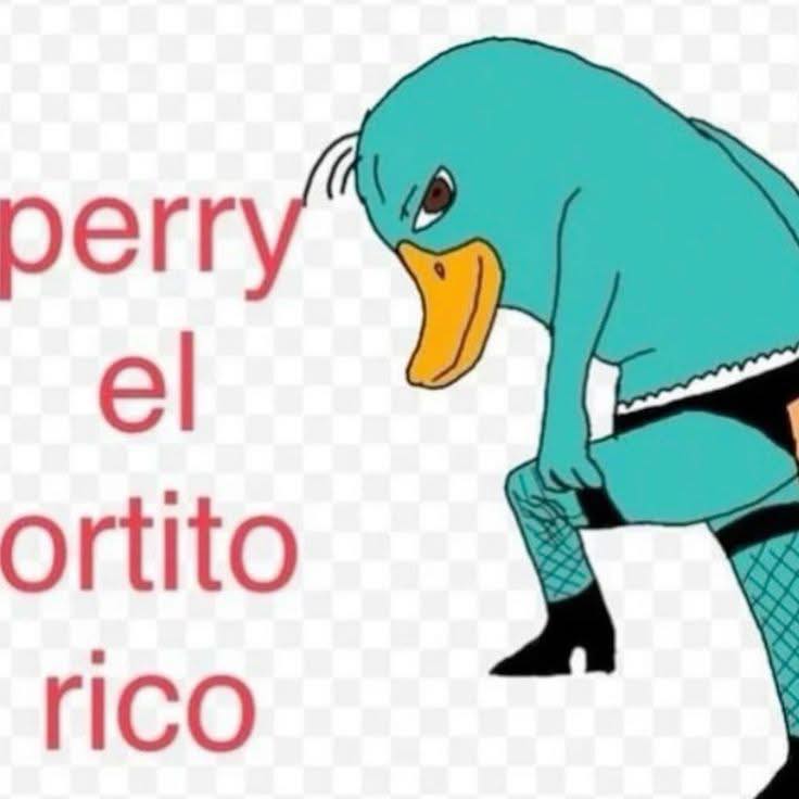 Maestre Mapaxito (@mapaxitouwu) on Twitter photo 