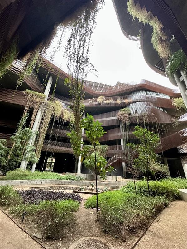 CERCLL - UArizona tweet media