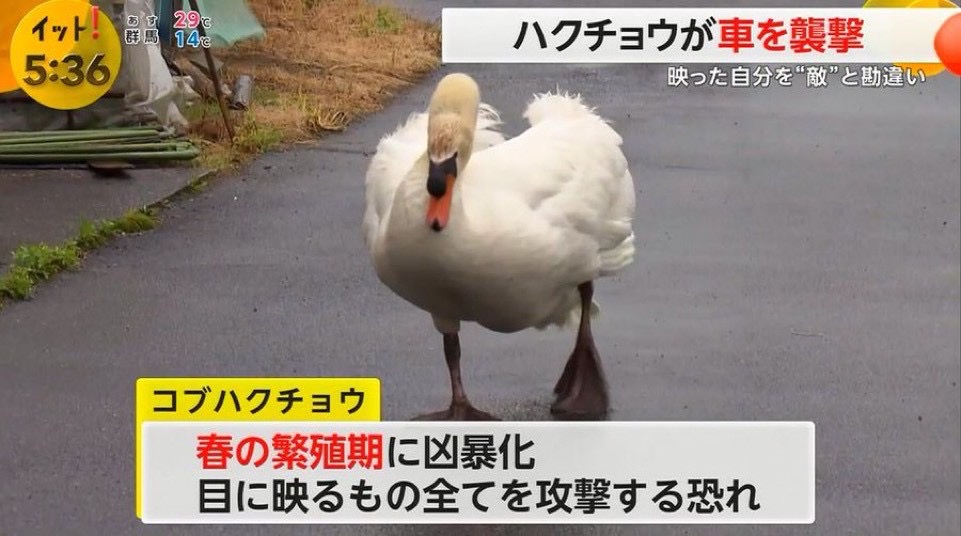ヤンキーすぎるって