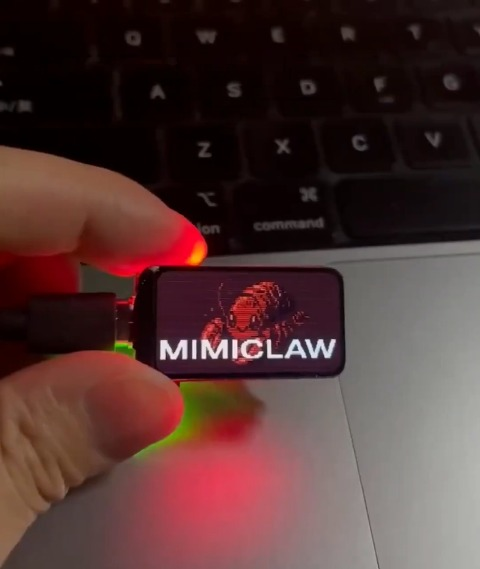 Md Ismail Šojal 🕷️ tweet media