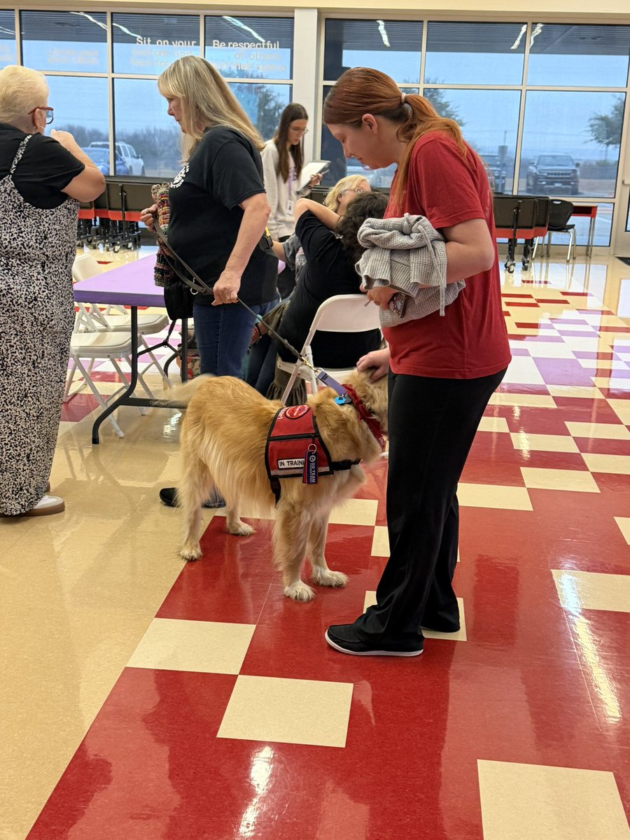 CourtLead's tweet photo. Thankful for our community. Shout out to Central Texas Go Team Therapy for showing up for staff today. #therapydogs https://t.co/O0zSpLJxee