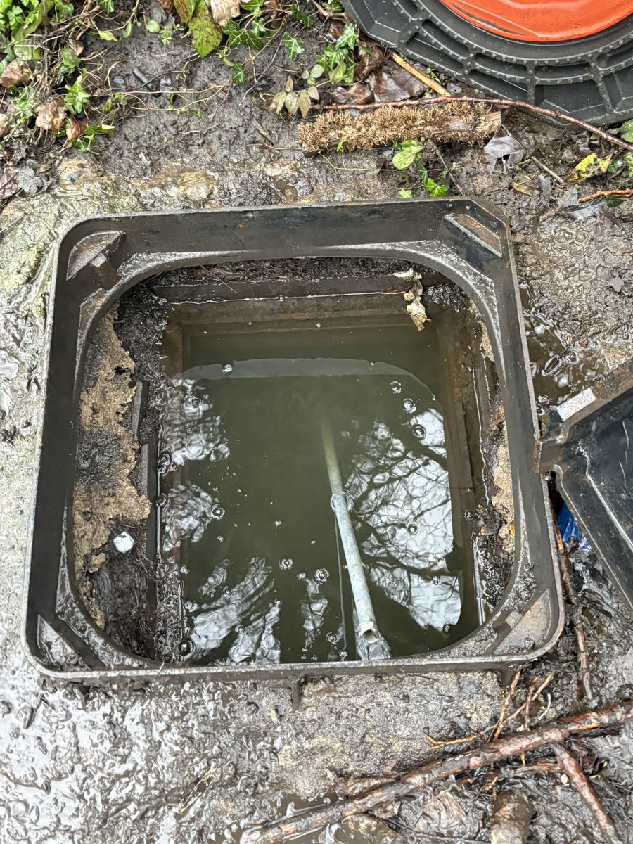 Jay Berkhauer tweet media