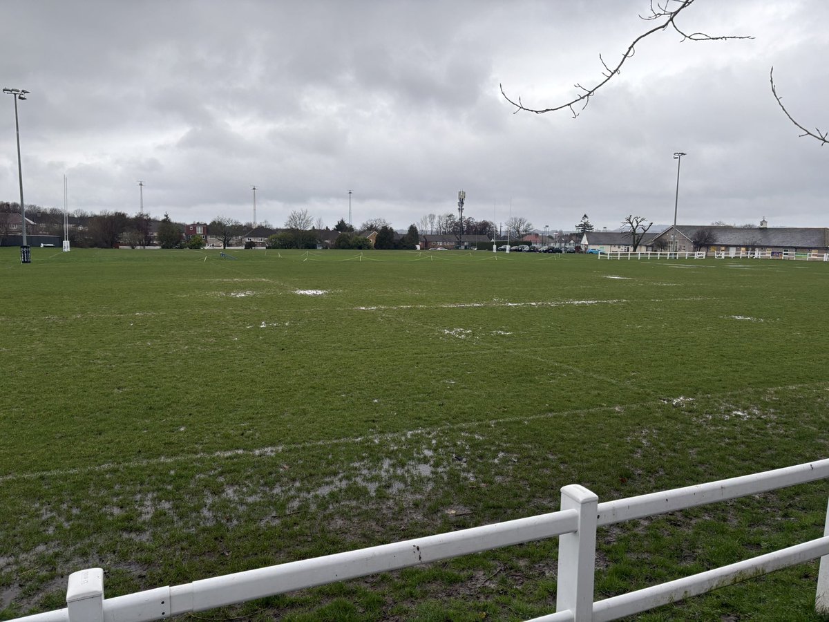 Jay Berkhauer tweet media