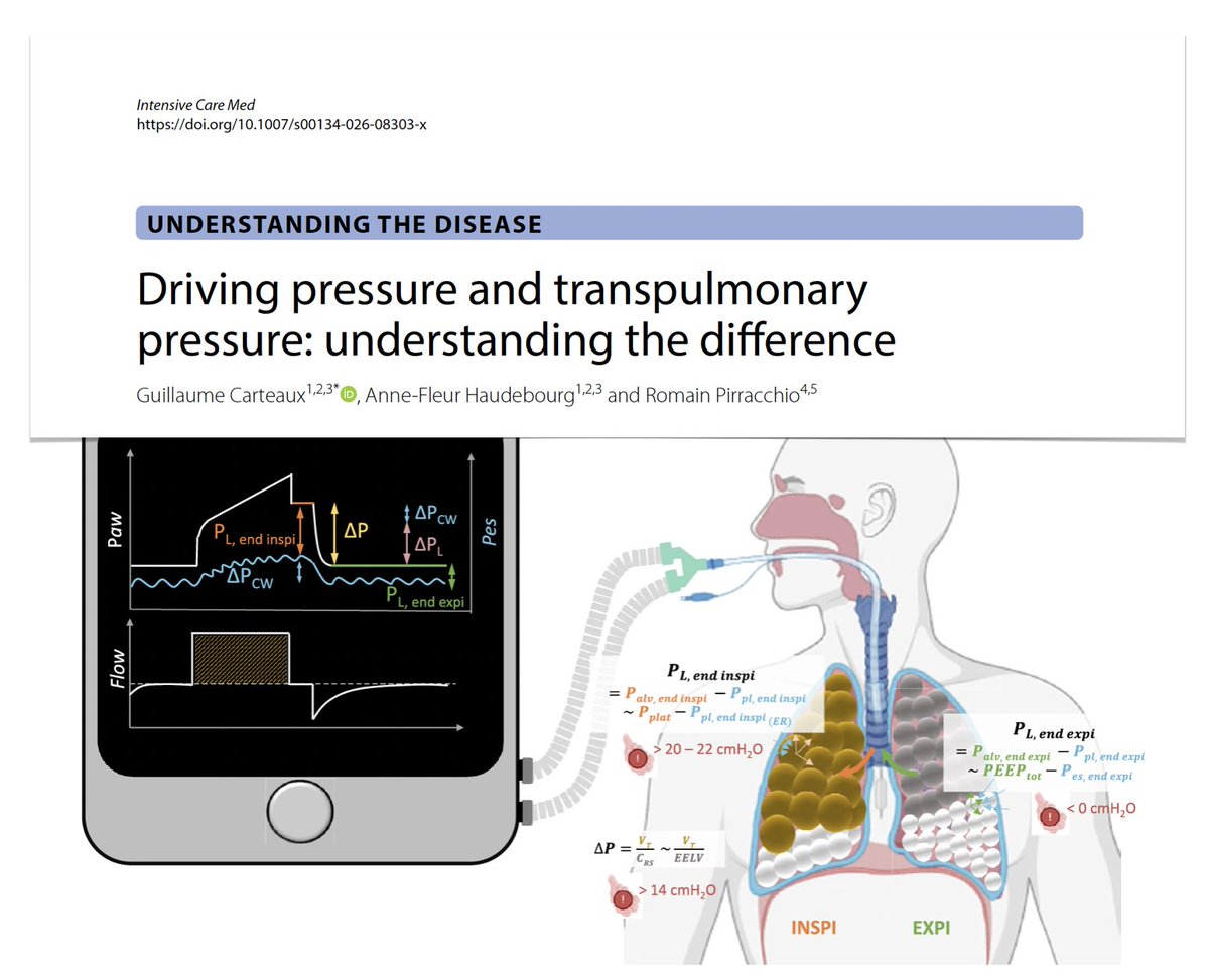 M Velia Antonini tweet media