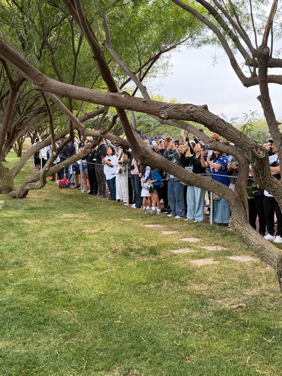 Dodger fans lined up to watch Shohei Ohtani throwing a bullpen session