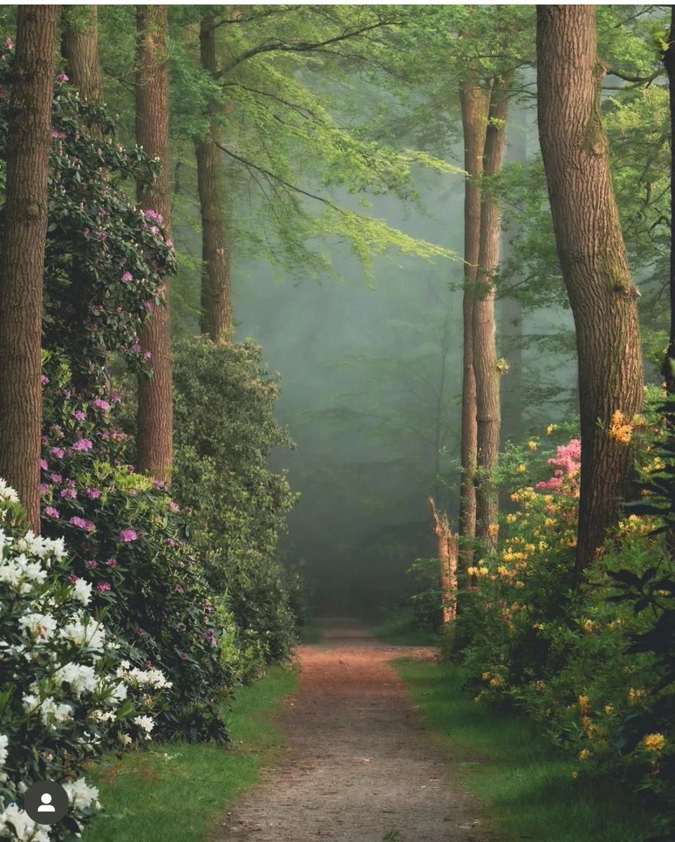 ᅠ ᅠ (@greendreaams) on Twitter photo 