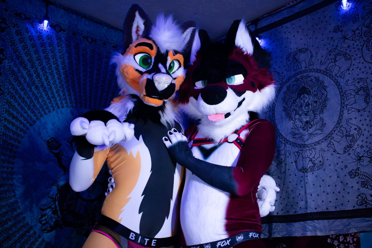 VXNRGY's tweet image. Two foxes in their undies; what could possibly happen next?
🦊🦊💞

#FursuitFriday

📸 @HashHyena