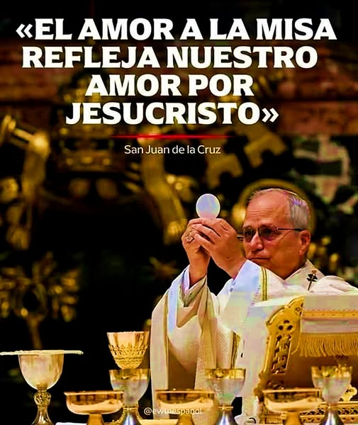 Seguidores de Asís (@seguidoresofs) on Twitter photo 