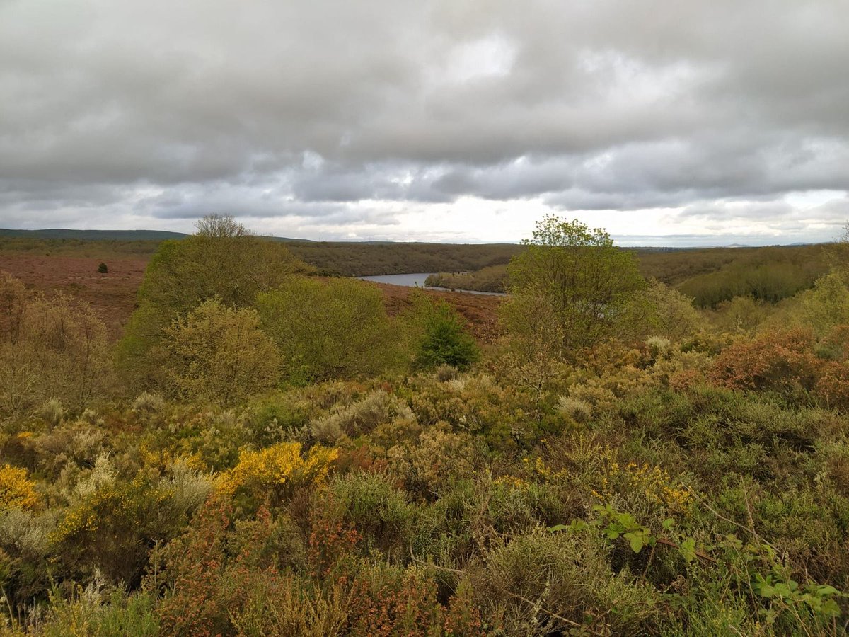 Nueva Nota De Prensa.
Ecologistas Zamora denuncia las políticas de las instituciones autonómicas y provinciales permisivas con la desprotección de los bosques
ecologistaszamora.org/ez/prensa/ecol…