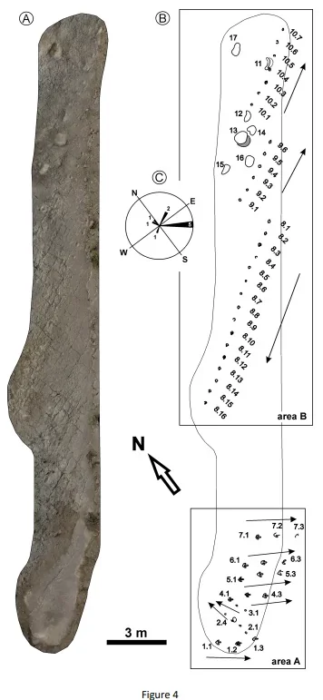 Probably Glaive tweet media