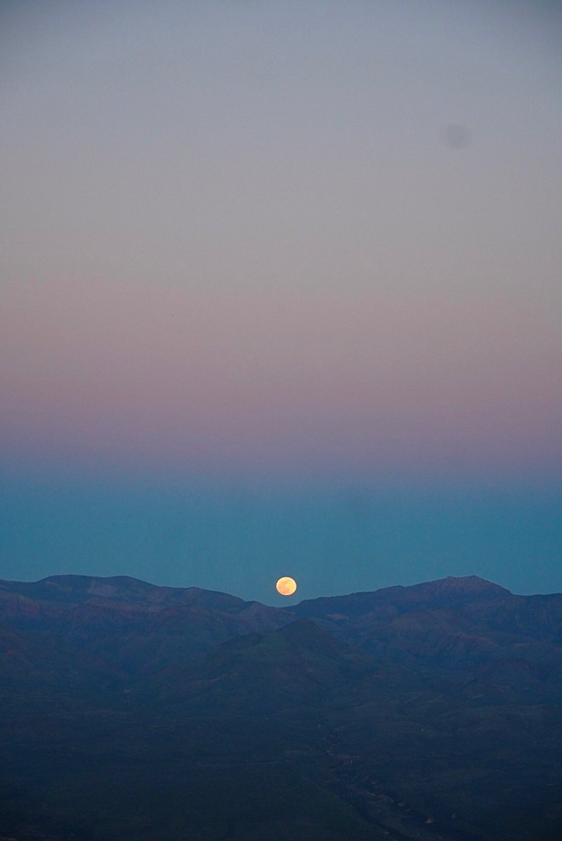 ह्याप्स् tweet media