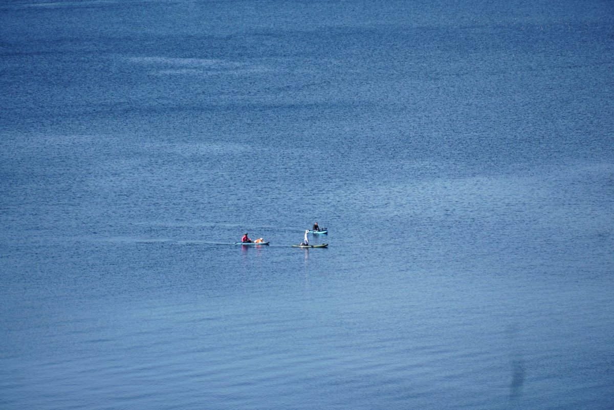 ह्याप्स् tweet media