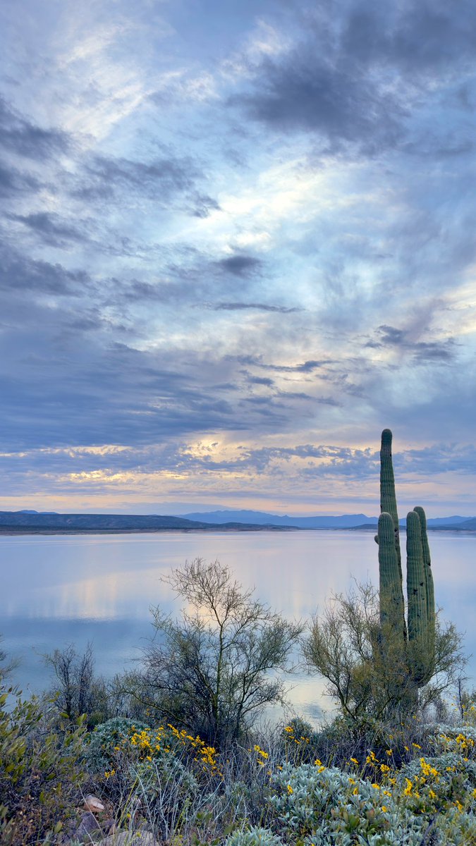 ह्याप्स् tweet media