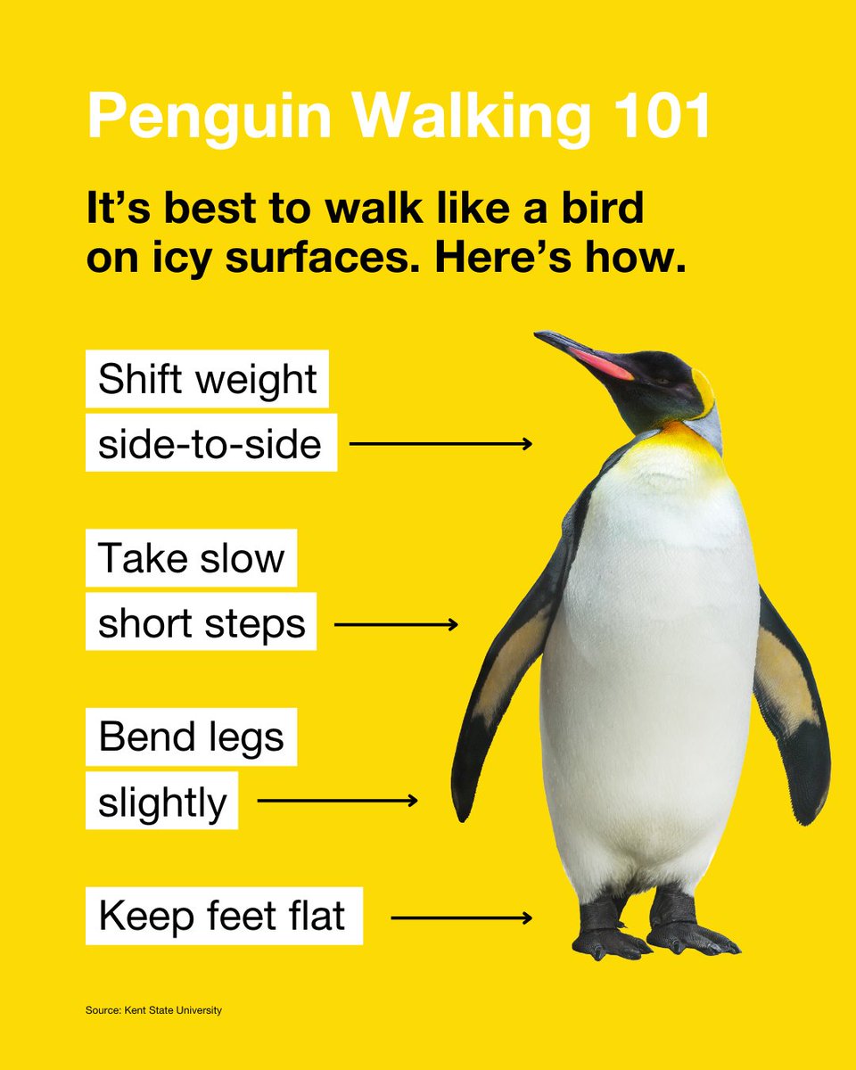 MetroPlusHealth tweet media