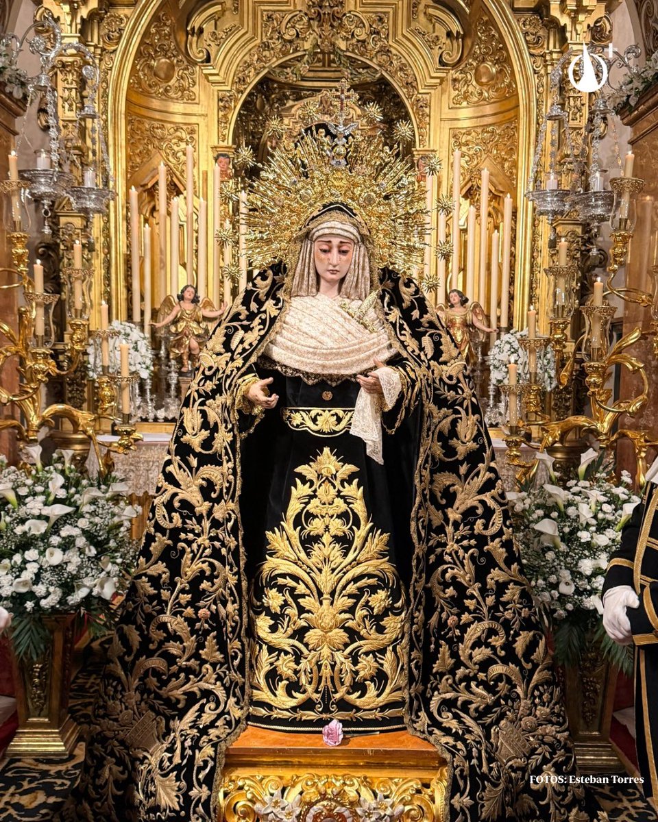 🟣 #GaleríasPlus | Besamanos de María Stma. de la Soledad <a href="/SoledadSLorenzo/">La Soledad de San Lorenzo</a> 

La Hermandad vive un fin de semana de cultos y devoción ante la Virgen. Recogemos las estampas en galería.

Viernes y sábado: 10–14 / 17:30–19:30
Domingo: 10–11:30

📸 Esteban Torres 

📲 #CofradíaPlus