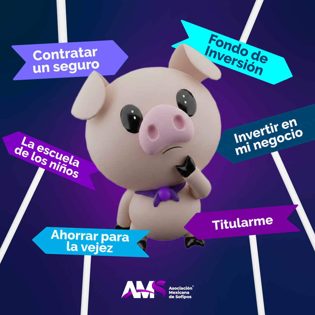 Amsofipo tweet media