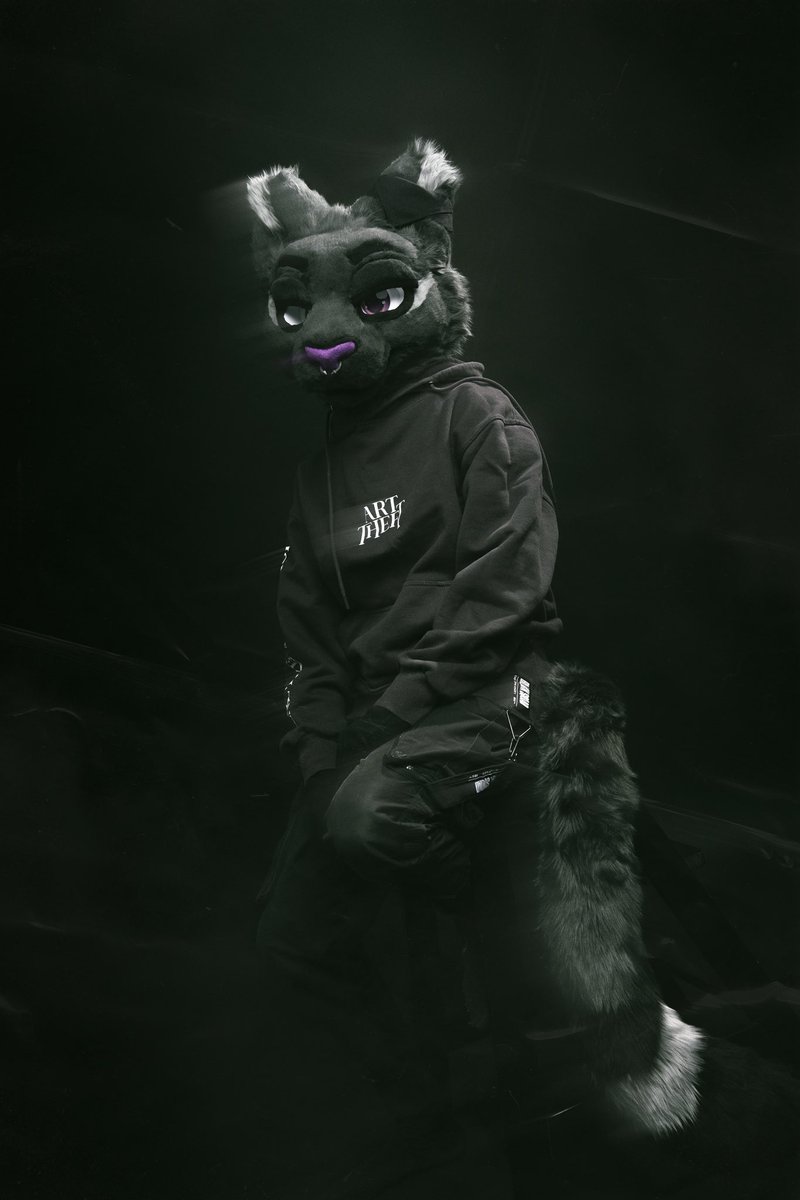 JustCats tweet media