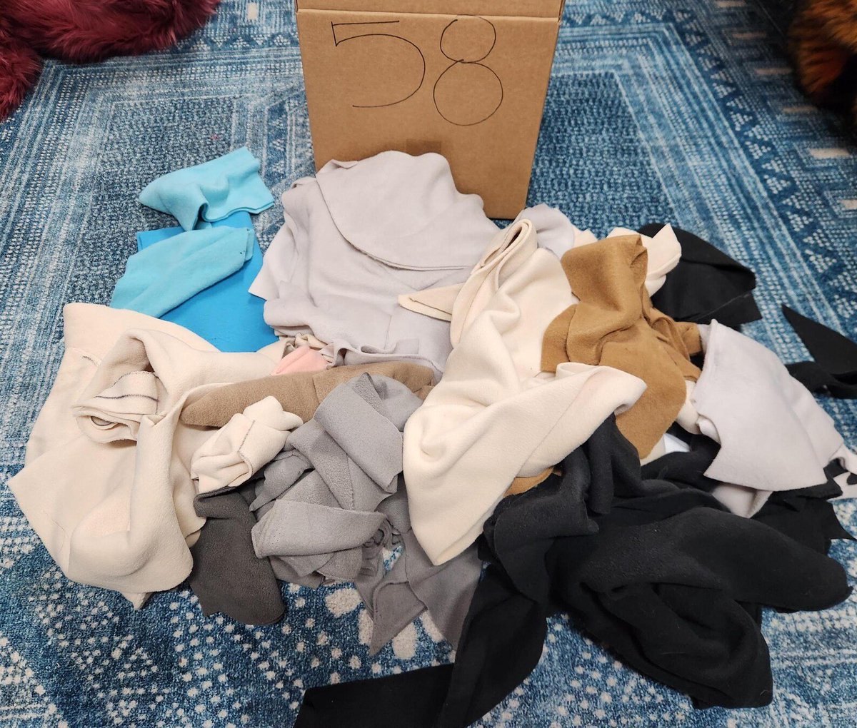 Pocket Wolf tweet media