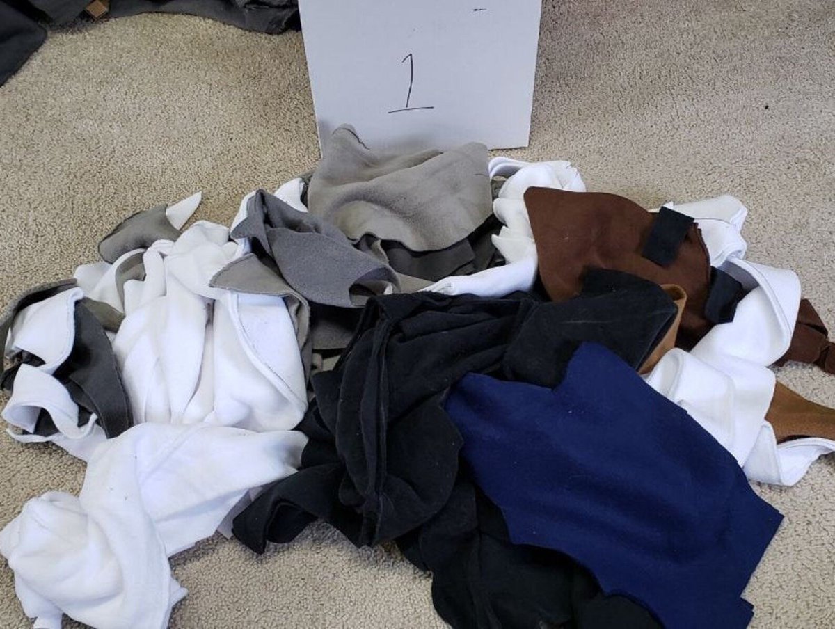 Pocket Wolf tweet media