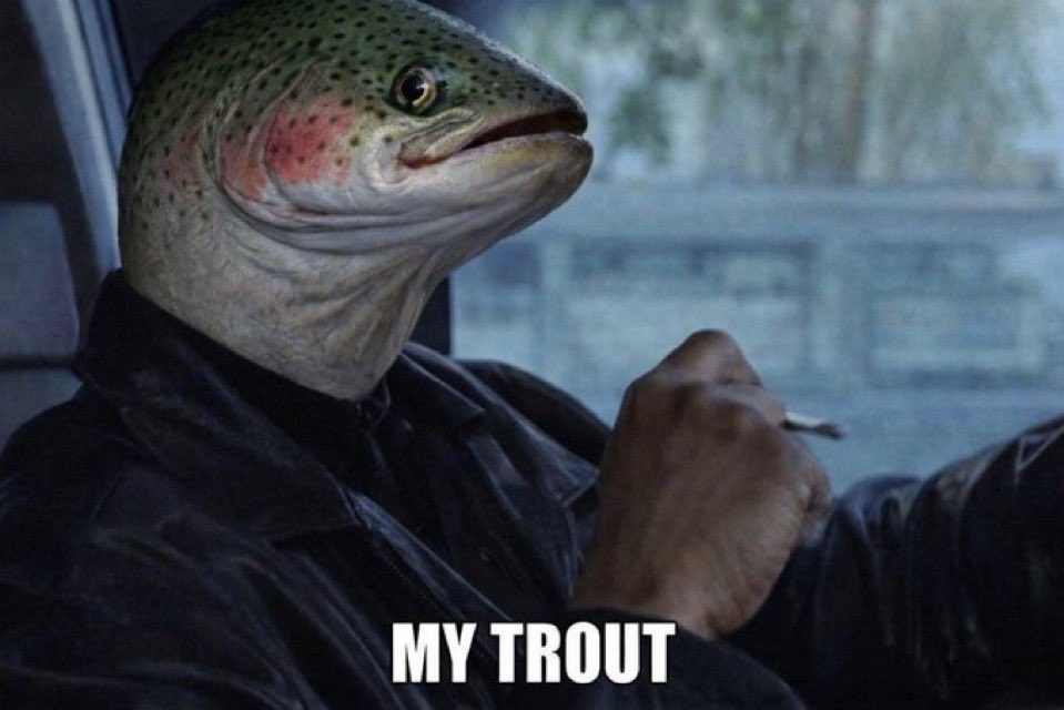 <a href="/poe_real69/">POΞ ⚡️</a> <a href="/BigTrout300/">Big Trout 🐟🌊</a>
