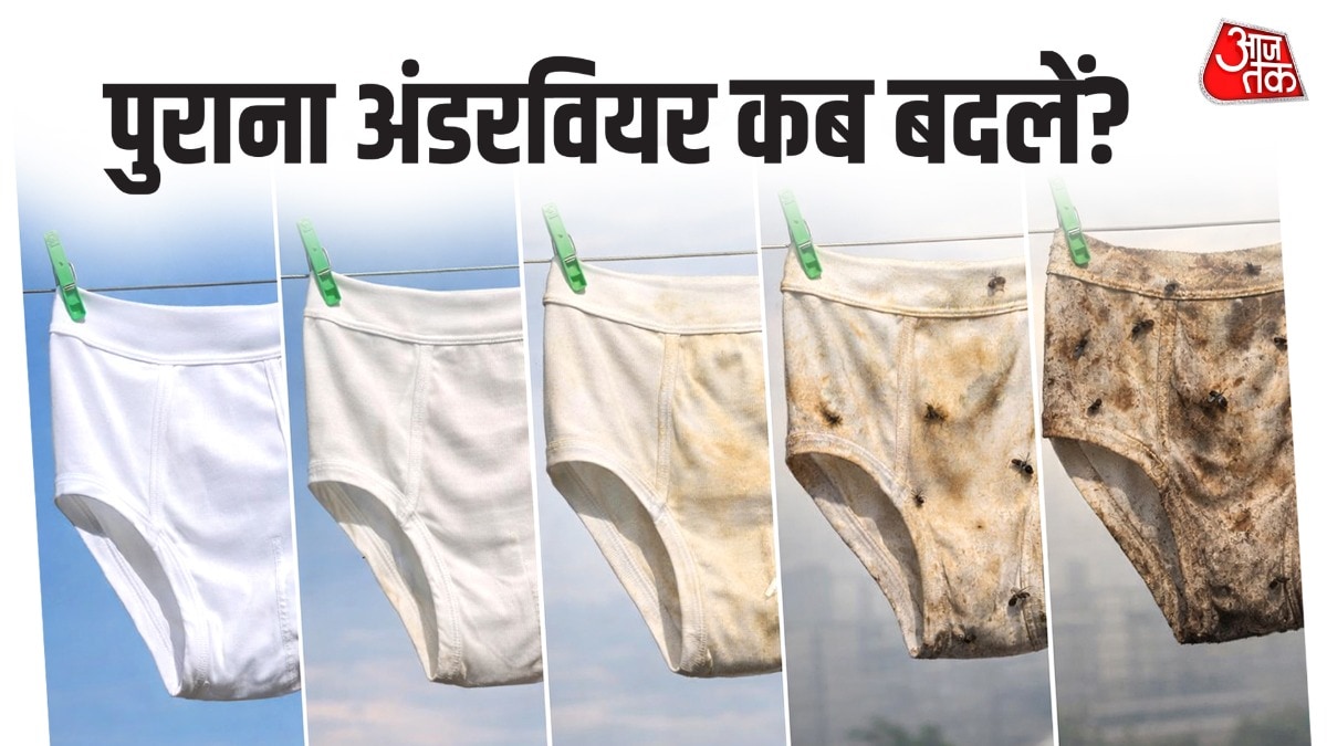 अंडरवियर की भी वेलिडिटी होतीं है आज पता चला!😂

पुराना अंडरवियर कितने समय बाद फेंक देना चाहिए?
एक्सपर्ट्स हर 6 से 12 महीने में अंडरवियर बदलने की सलाह देते हैं। 

आप कितने समय बाद बदलते हों? कमेंट में बताए बिना झूठ बोले🤣
#viralpost #viral #viralvideo