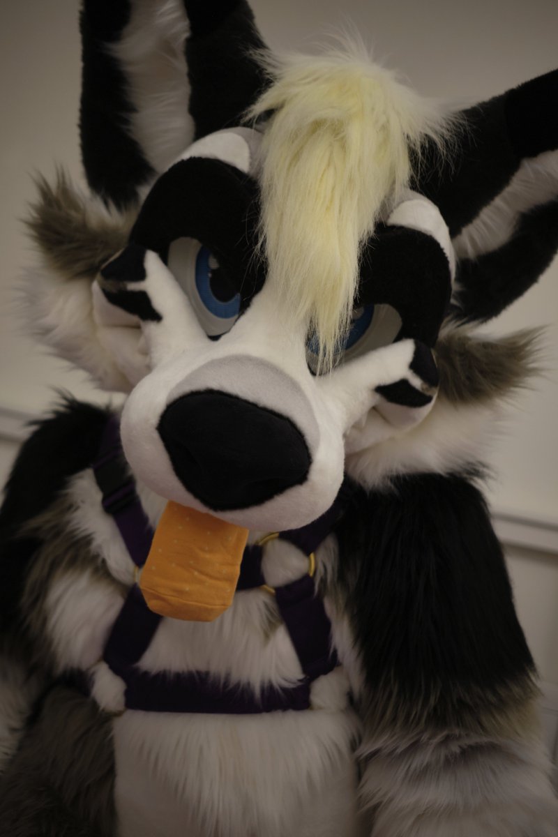 Candahan tweet media