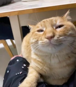 NightFal|🔞 tweet media