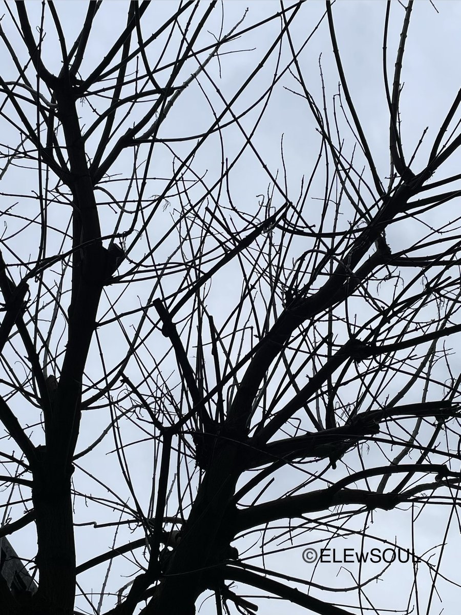 “Mi piel y tu piel pueden detener el tiempo”
P.Alborán

💿 Pablo Alborán -Por Fin (2014)
youtu.be/TEmHuISQnNw?1

#music #team_musicLov3rs #blackandwhitephotography #photography #photographer #photo #blackandwhitephoto #blackandwhite #fotografia #streetphotography #streetphoto