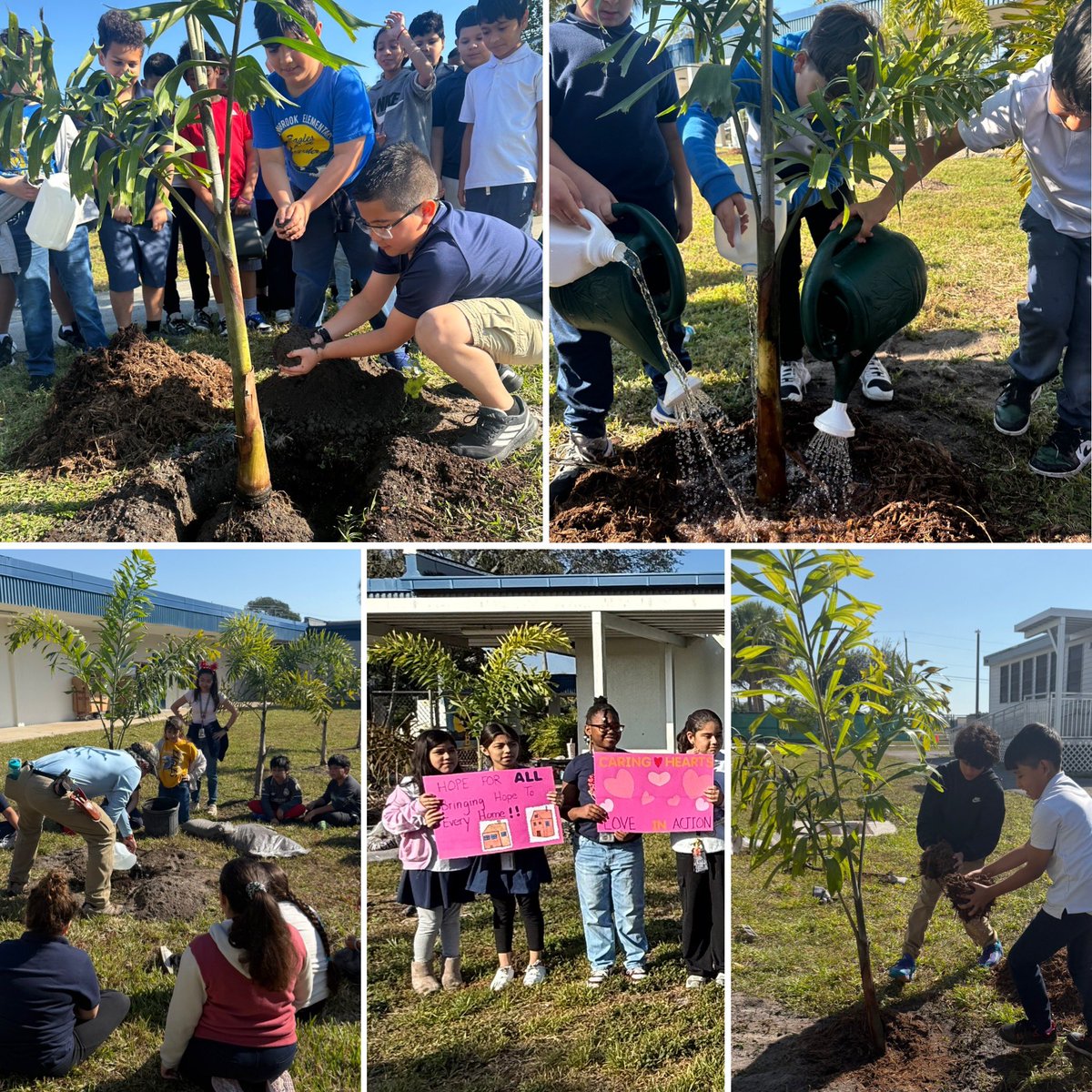 Meadowbrook Elementary School tweet media