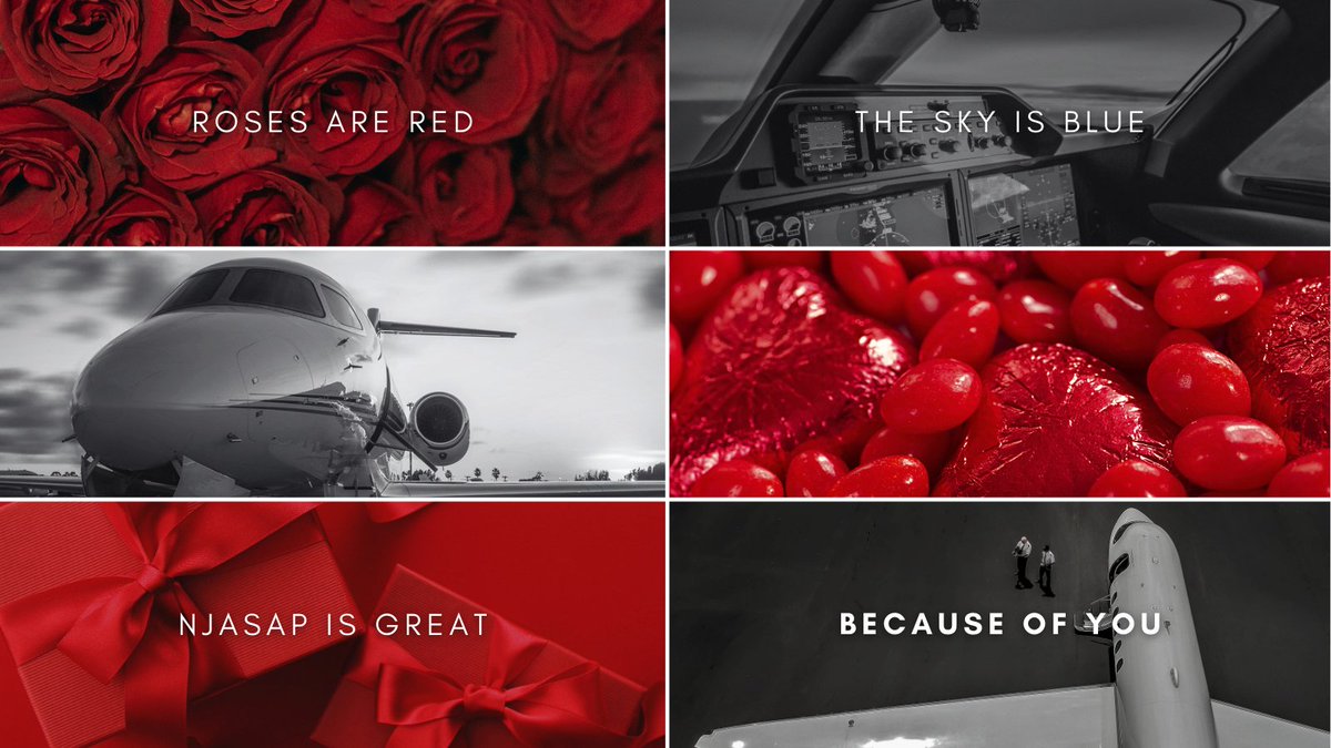 Roses are red, the sky is blue, NJASAP is great because of YOU! Your Executive Board, Volunteers and Staff wish you a very Happy Valentine’s Day. ✈️
 #UnionStrong #HappyValentinesDay2026