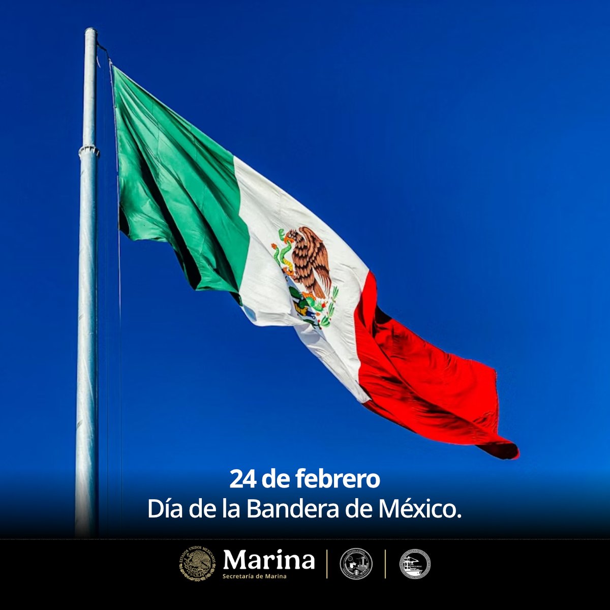 PuertosYucatan's tweet photo. Cada 24 de febrero se celebra el Día de la Bandera de México, símbolo patrio que representa la historia, identidad y valores de la nación. La conmemoración fue establecida en 1934 para rendir homenaje a este emblema que nos une como país.
 #SímbolosPatrios #HistoriaDeMéxico https://t.co/UU0sDgbFgZ