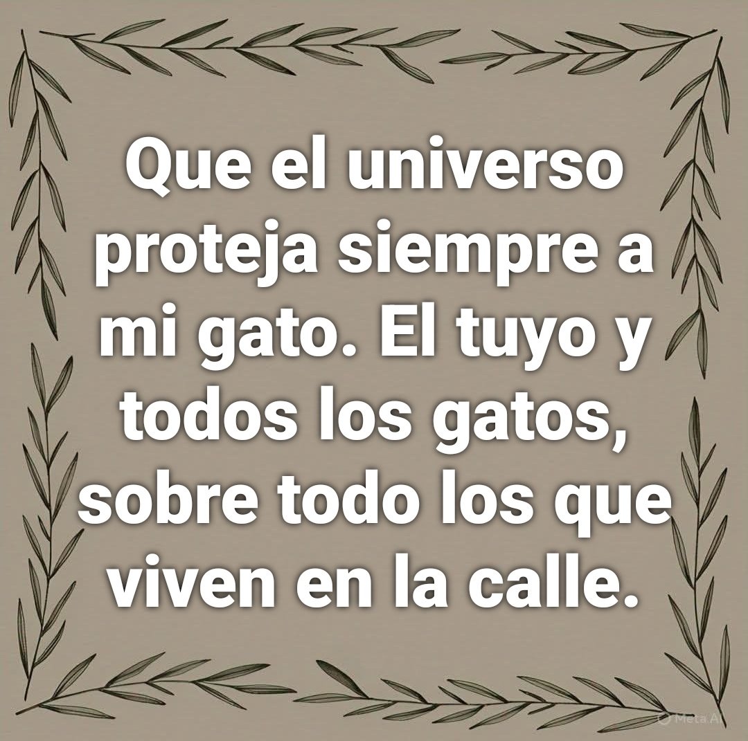 Que así sea!
🙏🏻