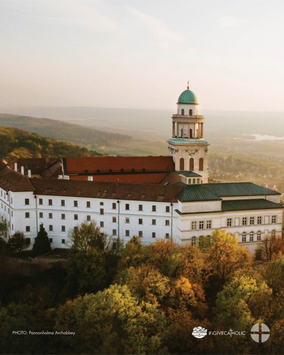 iGiveCatholic tweet media