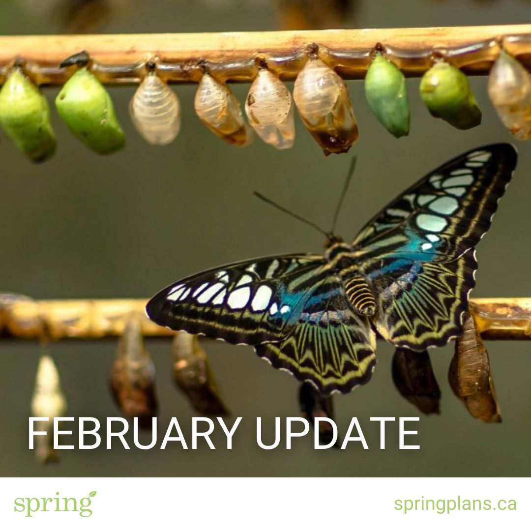 Spring Plans tweet media