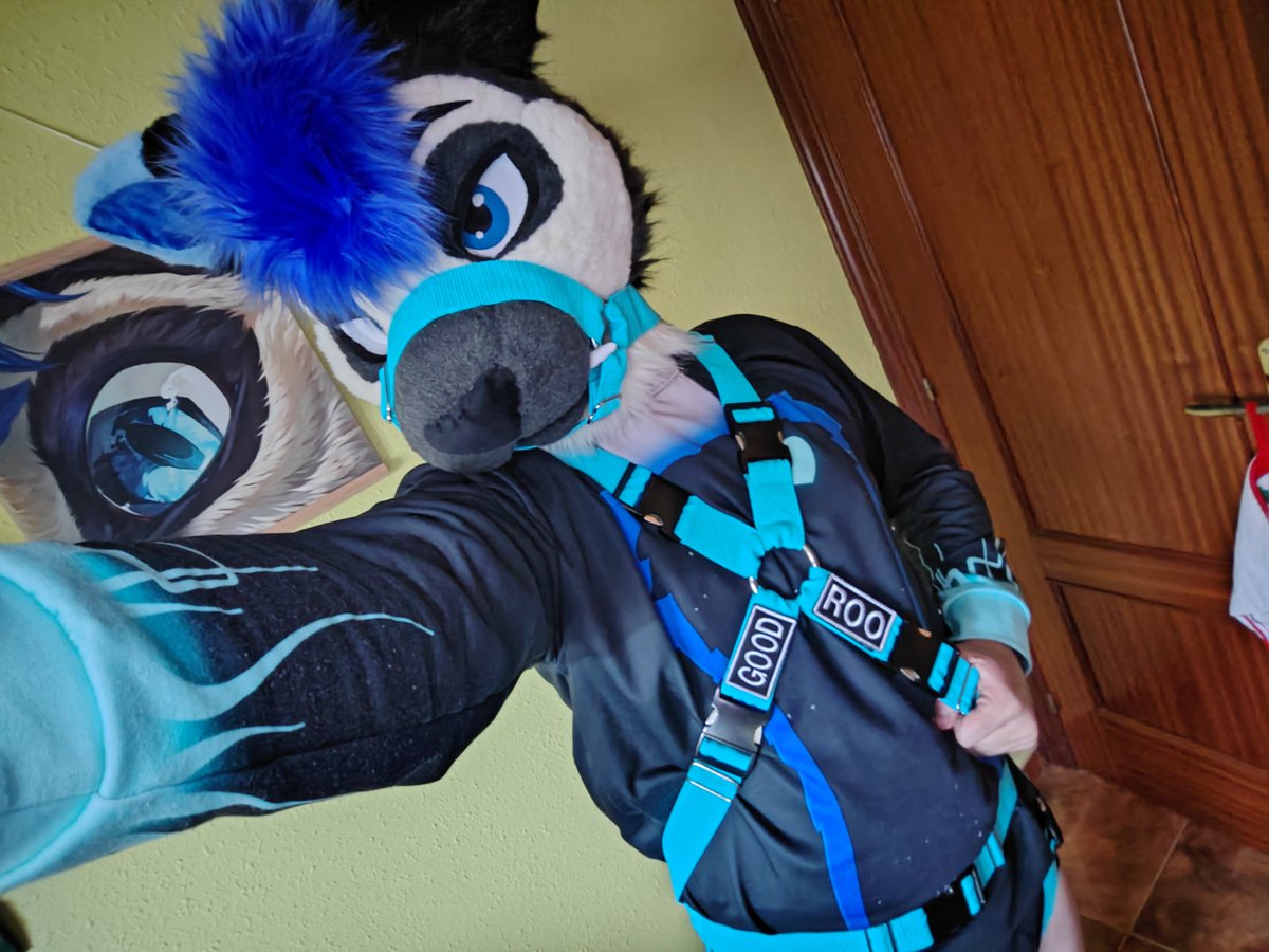 MauRoo✨ Heartglow's Merch💙🦘 🔜Ibercon 🐾 tweet media