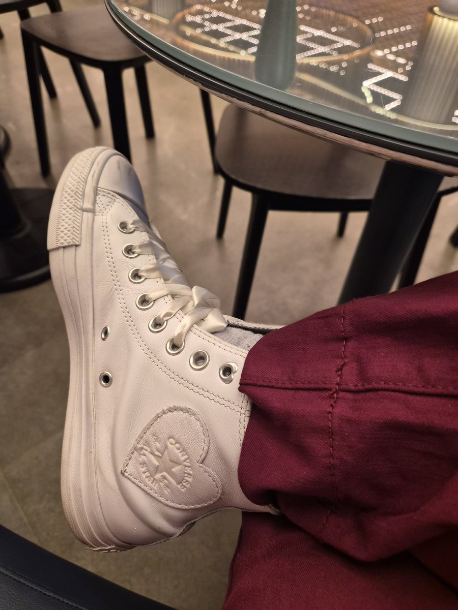 Shellanin 🐚💕 tweet media