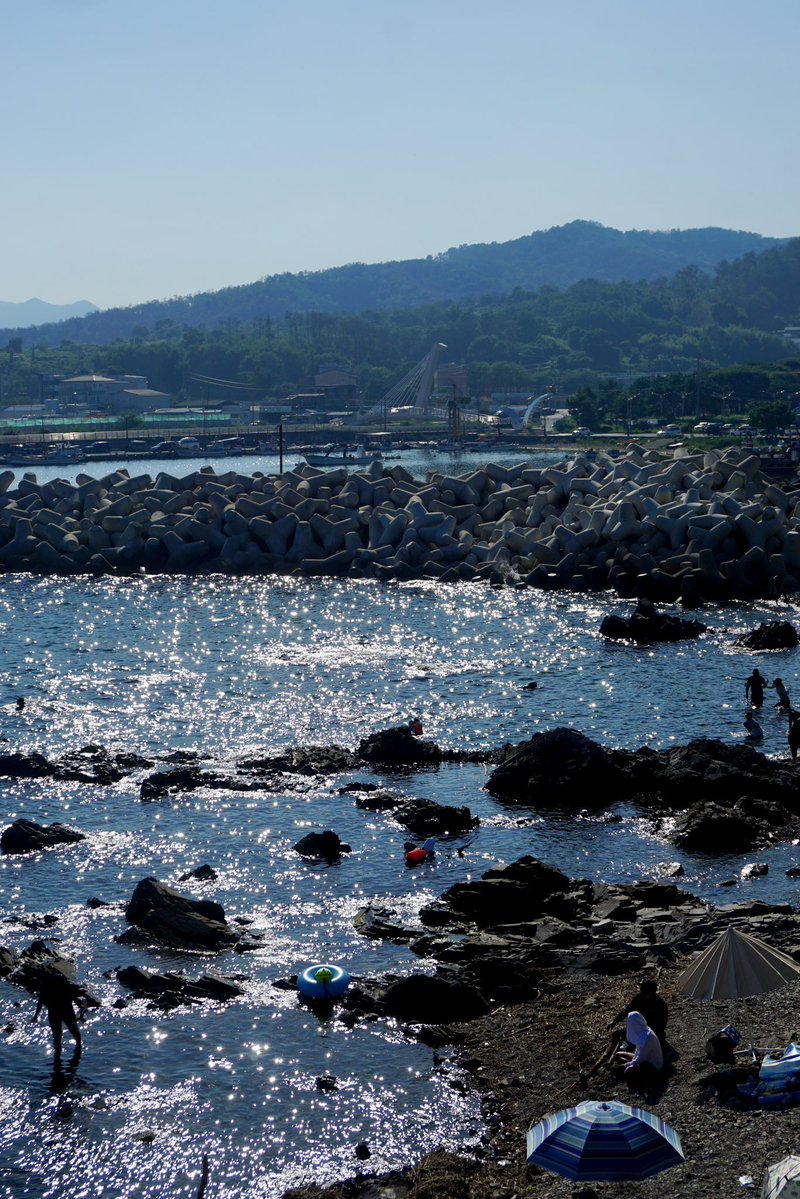 내가 정말 애정하는 사진들