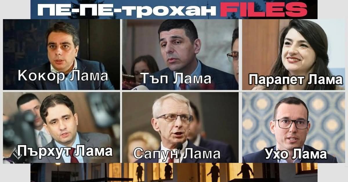 Всичко Лама и без Лама.