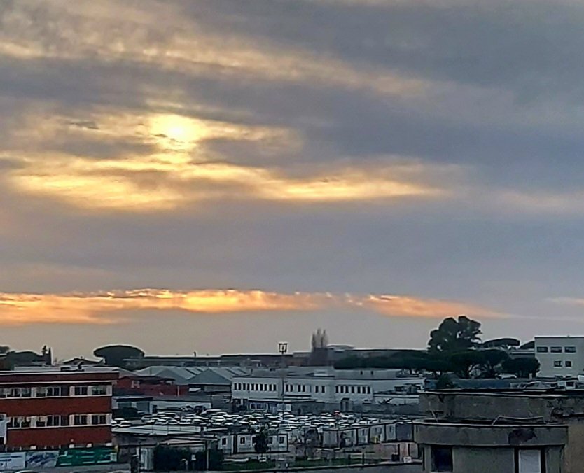 Maria Lea tweet media