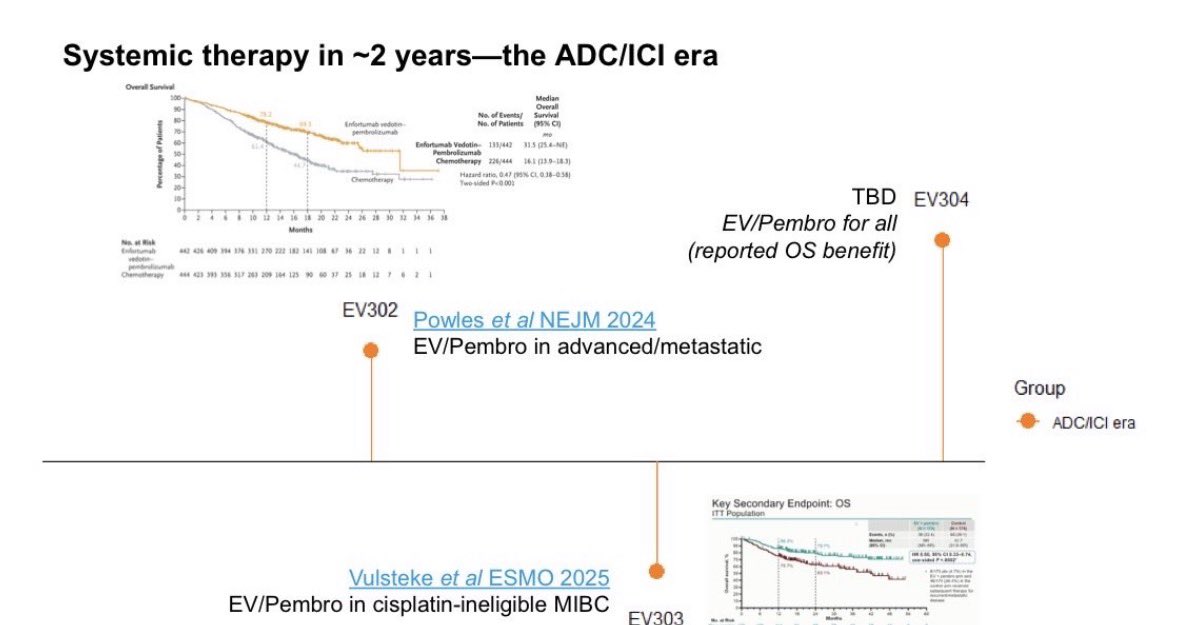 JG Pereira tweet media
