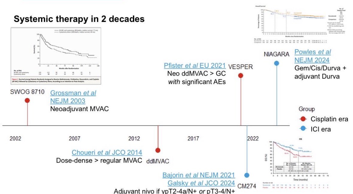 JG Pereira tweet media