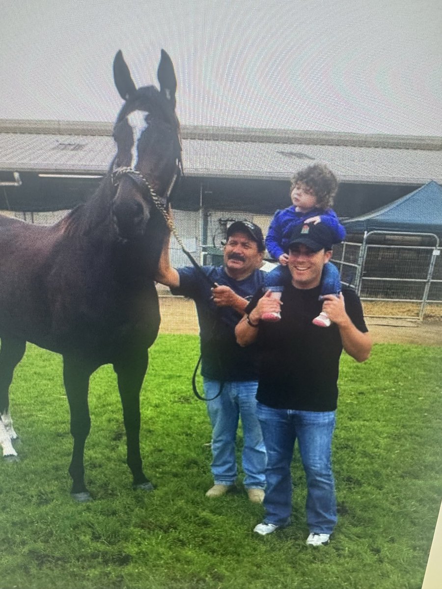 Aron Wellman tweet media